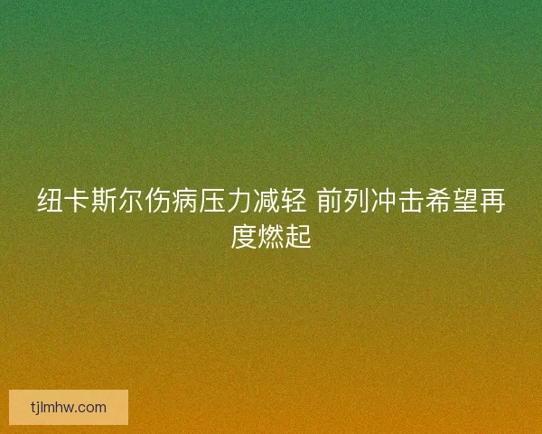 纽卡斯尔伤病压力减轻 前列冲击希望再度燃起 纽卡斯尔伤病压力减轻 前列冲击希望再度燃起